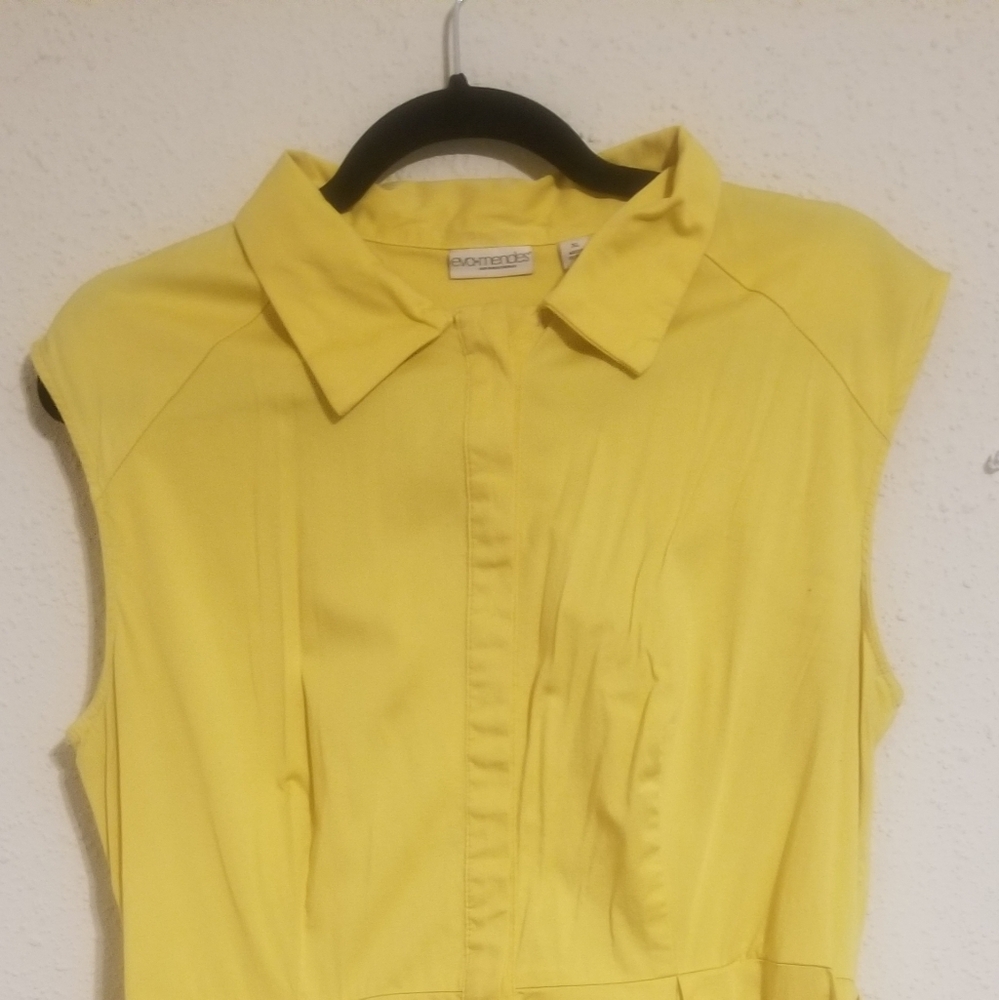 Eva Mendez New York & Company dress